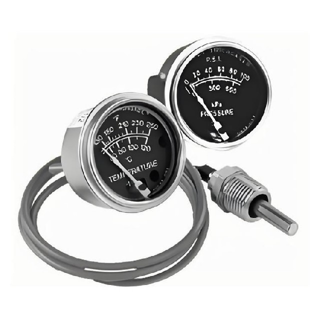 美國murphy 壓力表 20BVG